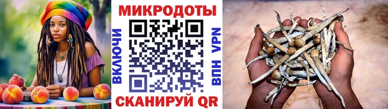 сайты даркнета как зайти  где можно купить   Боровск  Галлюциногенные грибы Magic Shrooms 